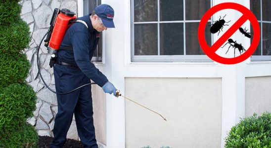 Çatalzeytin Kene İlaçlama böcek ilaçlama ve haşere kontrolü — ilaclama-tr.com